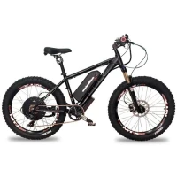 Электровелосипед Horza Cube LDM-T 1950W черный