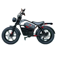 Электровелосипед Wolong V2 Pro